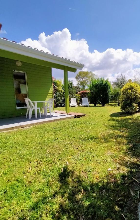 Gite Avec Piscine Et Espace Bien-Etre Partages Entre Bordeaux Et Lacanau Ocean (Adults Only) Brach Zewnętrze zdjęcie